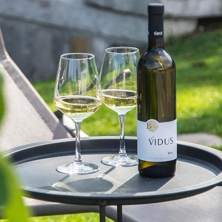 Apartment Vidus Wine Estate Podnanos 외부 사진