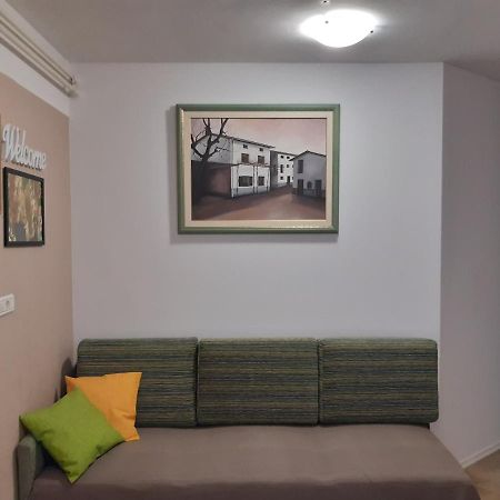 Apartment Vidus Wine Estate Podnanos 외부 사진