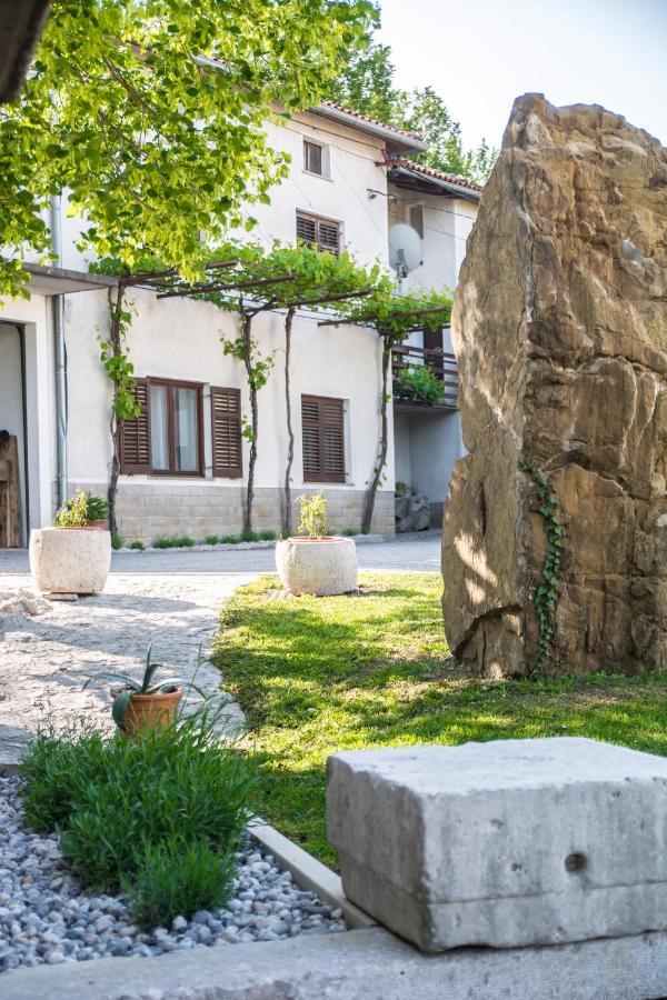 Apartment Vidus Wine Estate Podnanos 외부 사진