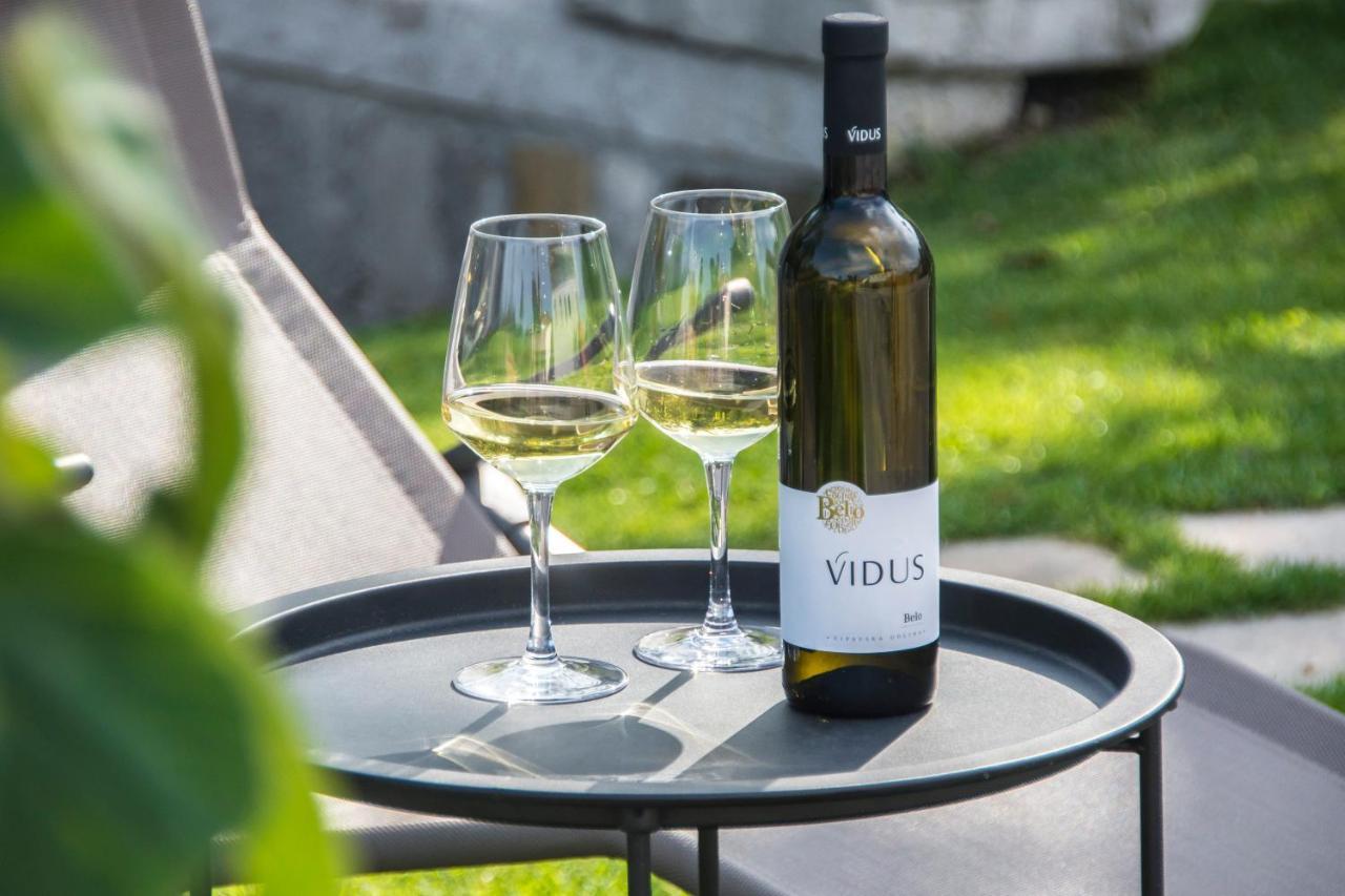 Apartment Vidus Wine Estate Podnanos 외부 사진