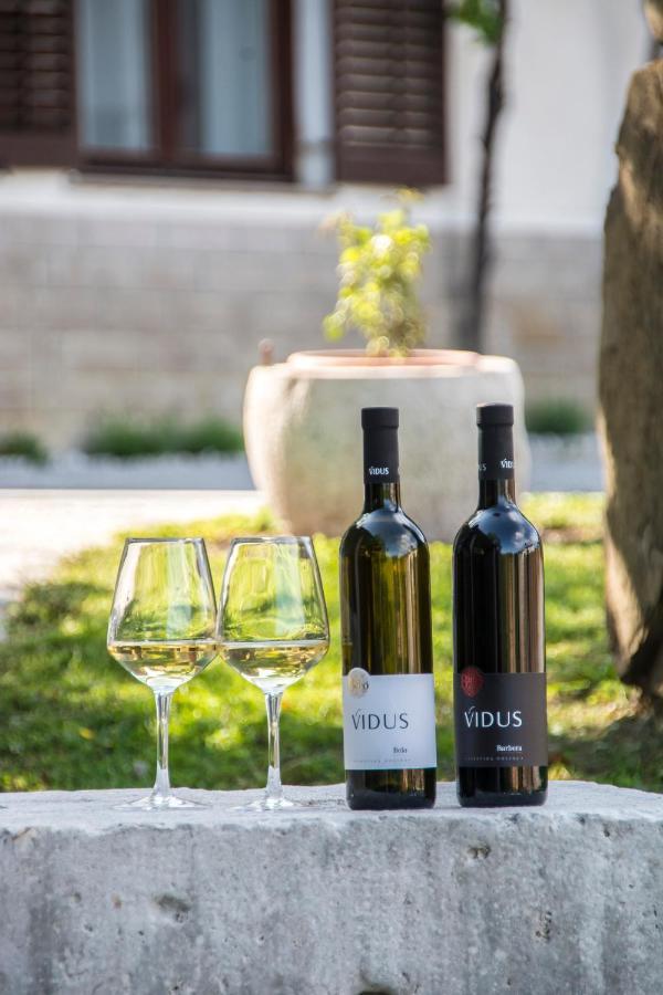 Apartment Vidus Wine Estate Podnanos 외부 사진