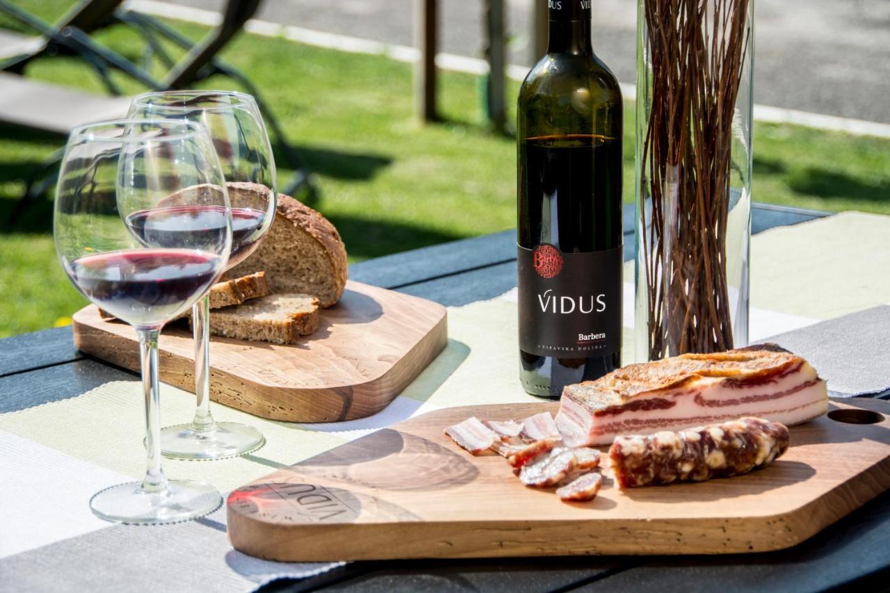 Apartment Vidus Wine Estate Podnanos 외부 사진