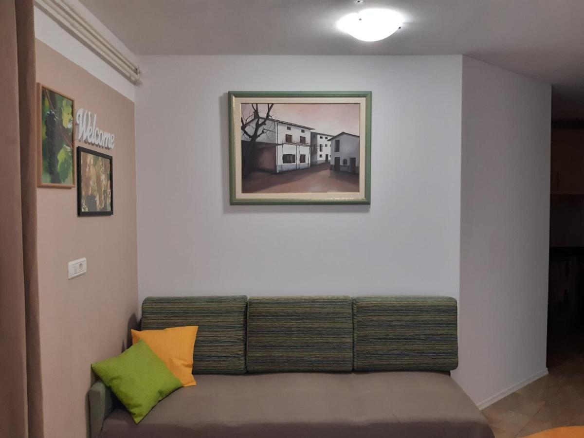 Apartment Vidus Wine Estate Podnanos 외부 사진