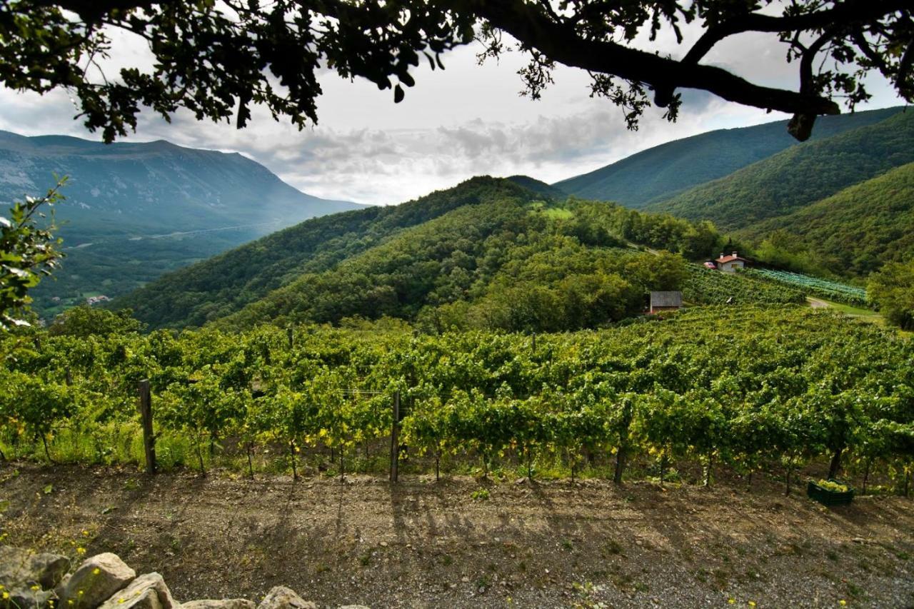 Apartment Vidus Wine Estate Podnanos 외부 사진