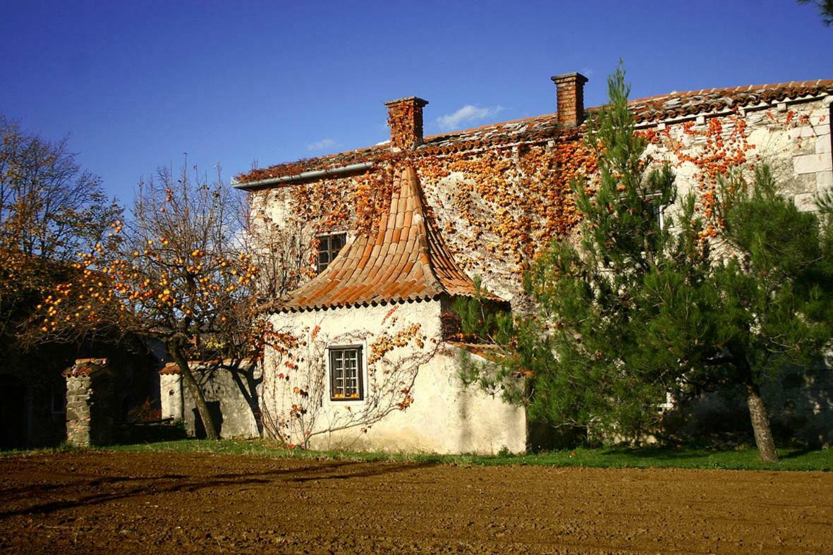 Apartment Vidus Wine Estate Podnanos 외부 사진
