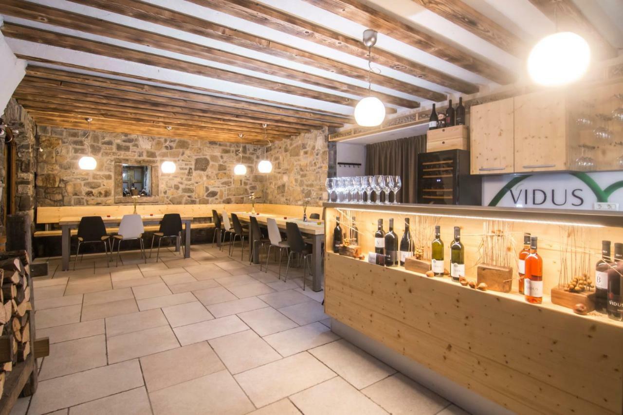 Apartment Vidus Wine Estate Podnanos 외부 사진