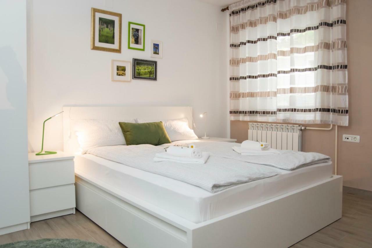 Apartment Vidus Wine Estate Podnanos 외부 사진